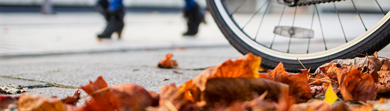 Autumn leaves on the pavement near bicycle tyre
