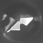 Camera image of a sample in a NAP cell