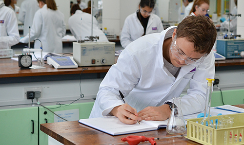 Male student with his head down, writing in a laboratory