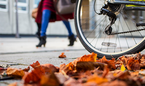 Autumn leaves on campus pavement