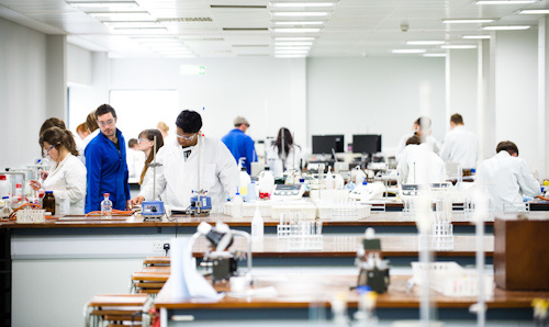 Students working in a chemistry lab