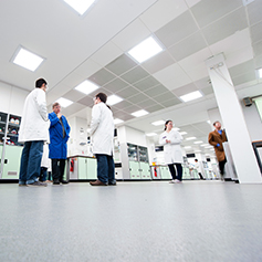 An image taken from floor level looking up at a number of researchers in deep discussion