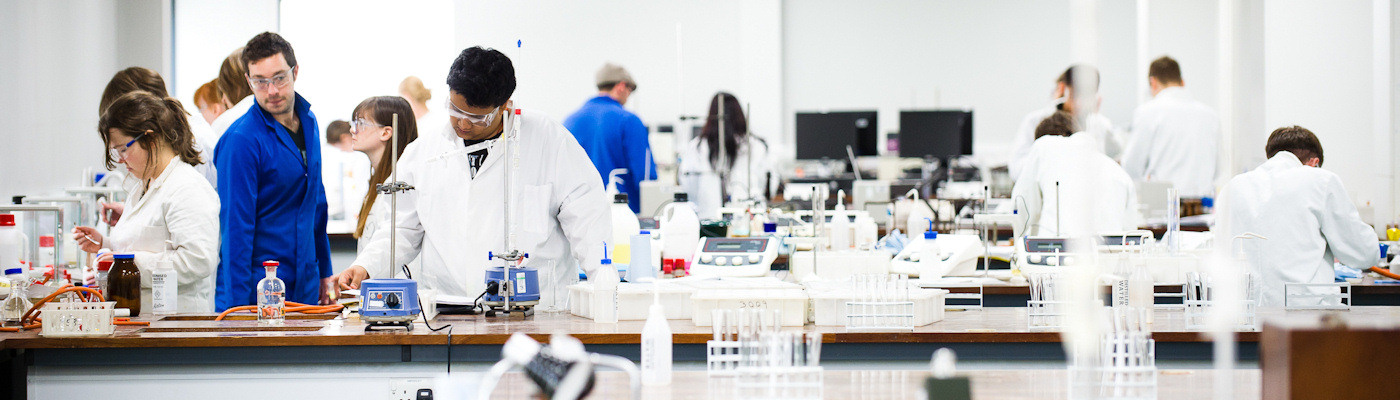 Students working in a chemistry lab