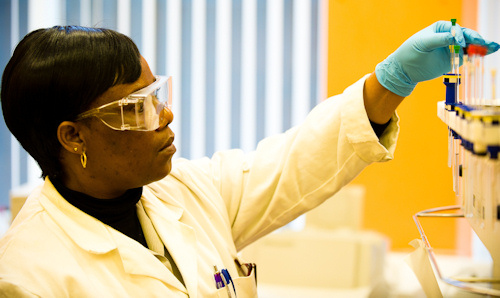 Students looking intently at a test tube