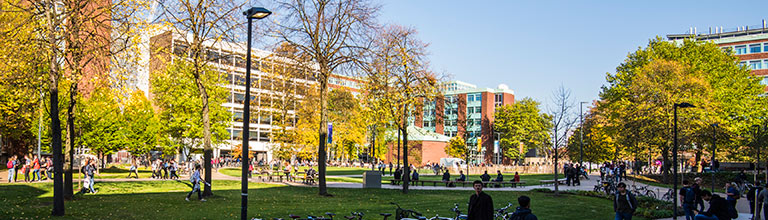 Autumnal shot of Brunswick Park outside the Simon Building