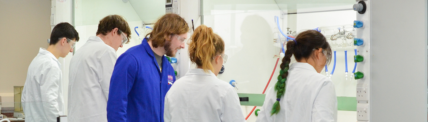 The backs of four students and their teacher conducting an experiment