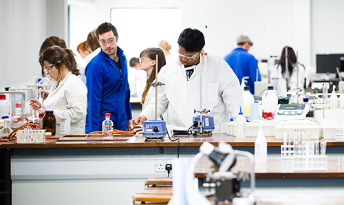 Students working together on experiments in a laboratory